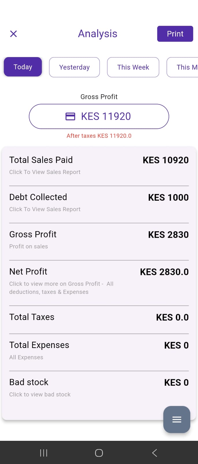 Pointify Profit Analysis showing gross and net profit